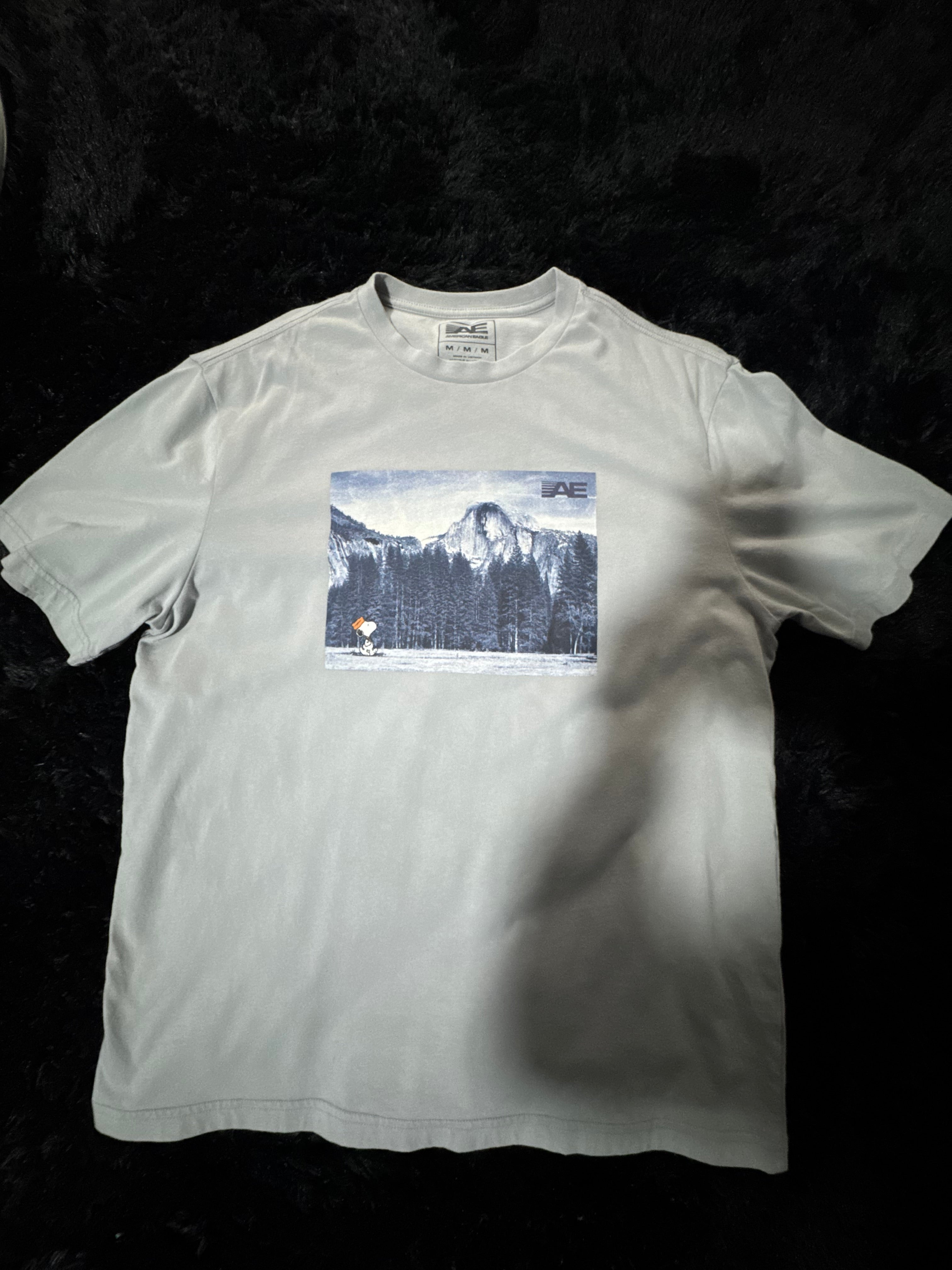 American eagle tee shirt